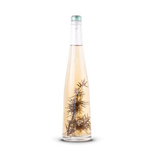 Grappa Ginepro – Pilzer 