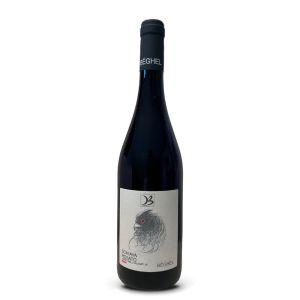 Schiava Rosato Vigneti delle Dolomiti IGT – Cantina Beghel