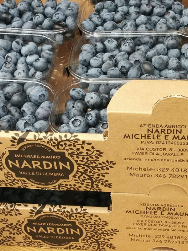 Società Agricola Nardin